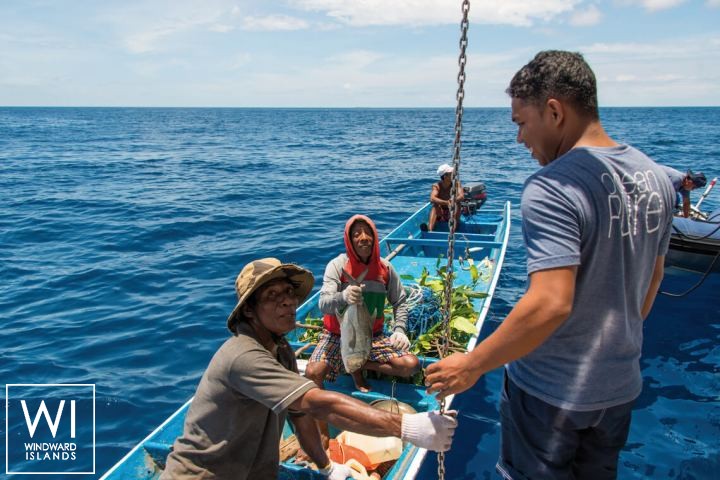 
																Ocean Pure 1																 5