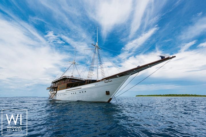 
																Ocean Pure 1																 2