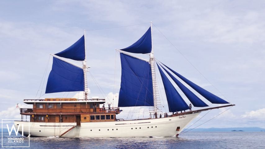 
																Ocean Pure 1																 0