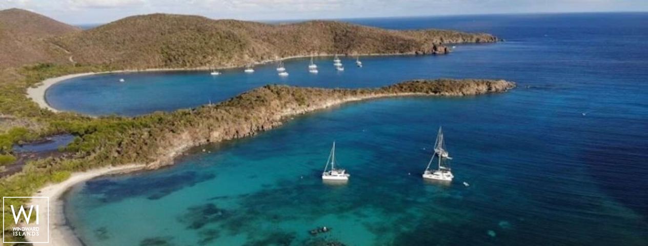 
																ESPERANZA II																 3