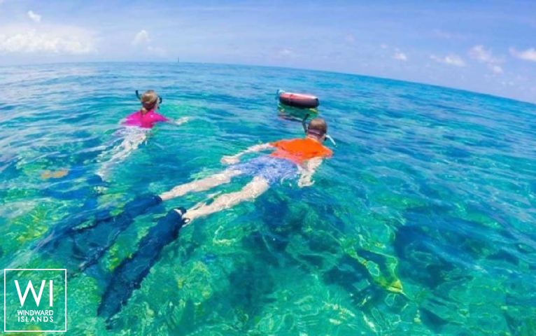 
																Purpus																 4