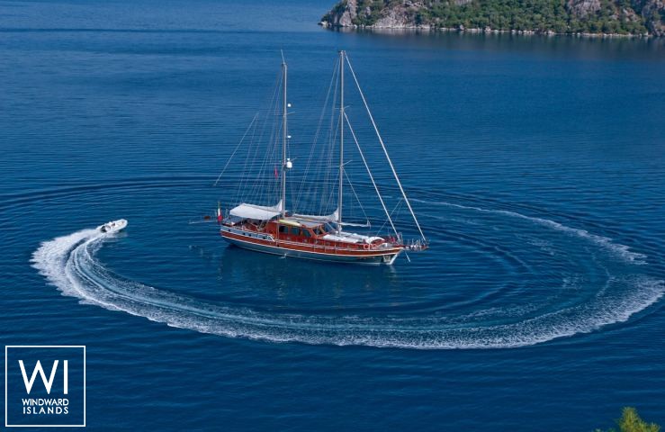 
																Silver Star II																 1