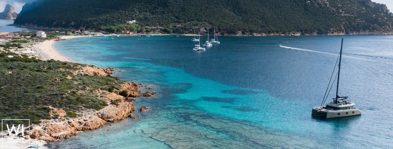 
																YGO																 5