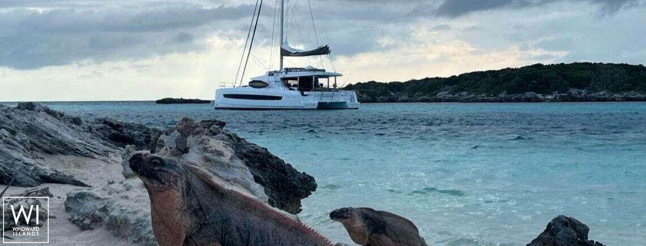 
																Location																 3