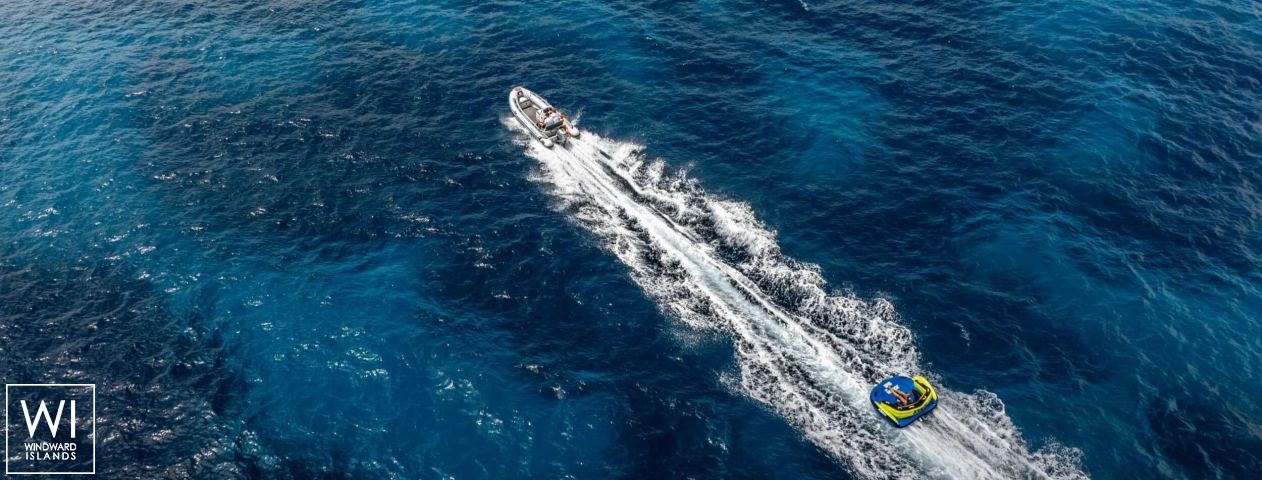 
																The Blue Dream																 2