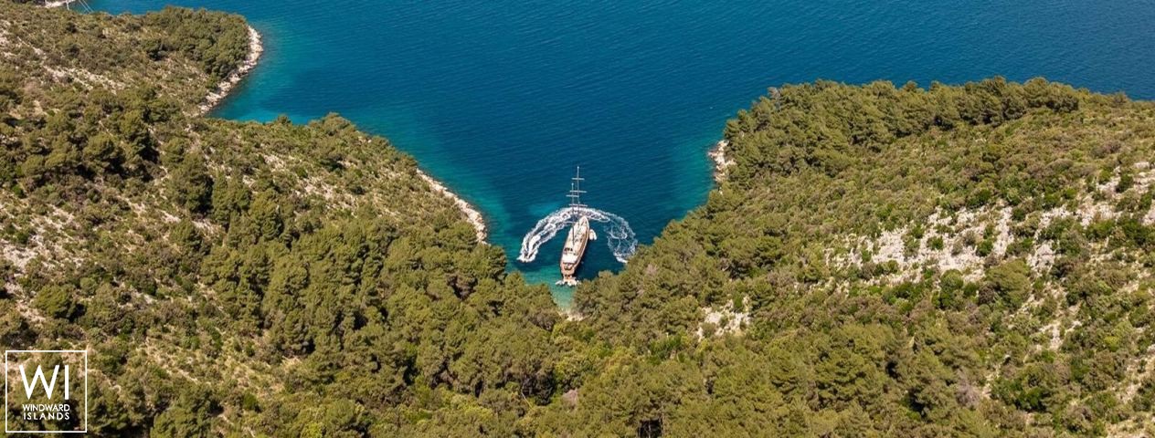 
																Dalmatino																 3