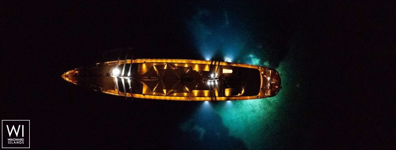 
																Dalmatino																 2