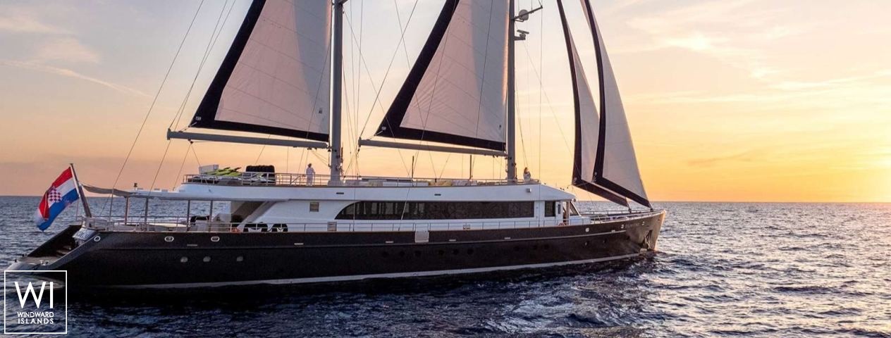 
																Dalmatino																 1