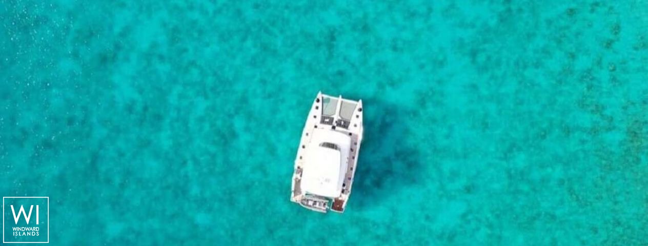 
																JAN'S FELION																 3