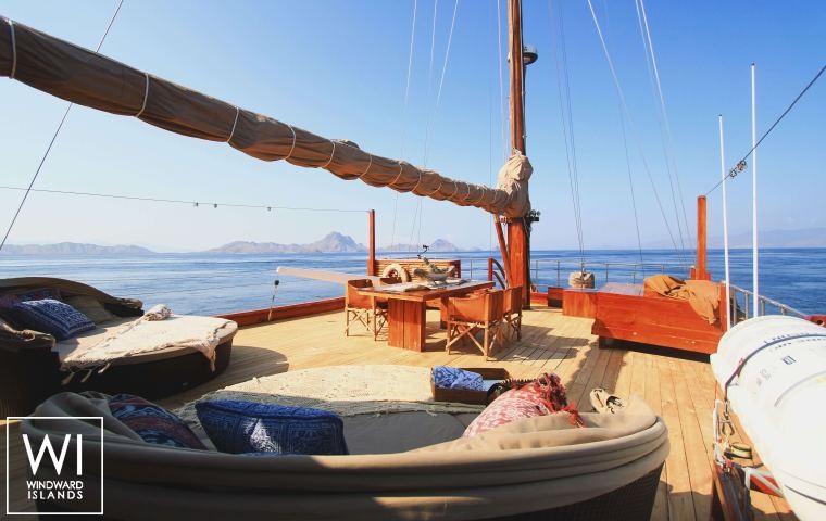 
																Sequoia																 1