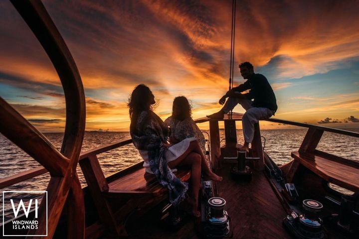 
																Sequoia																 2