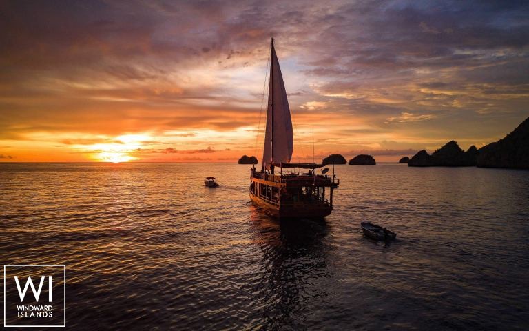 
																Sequoia																 0