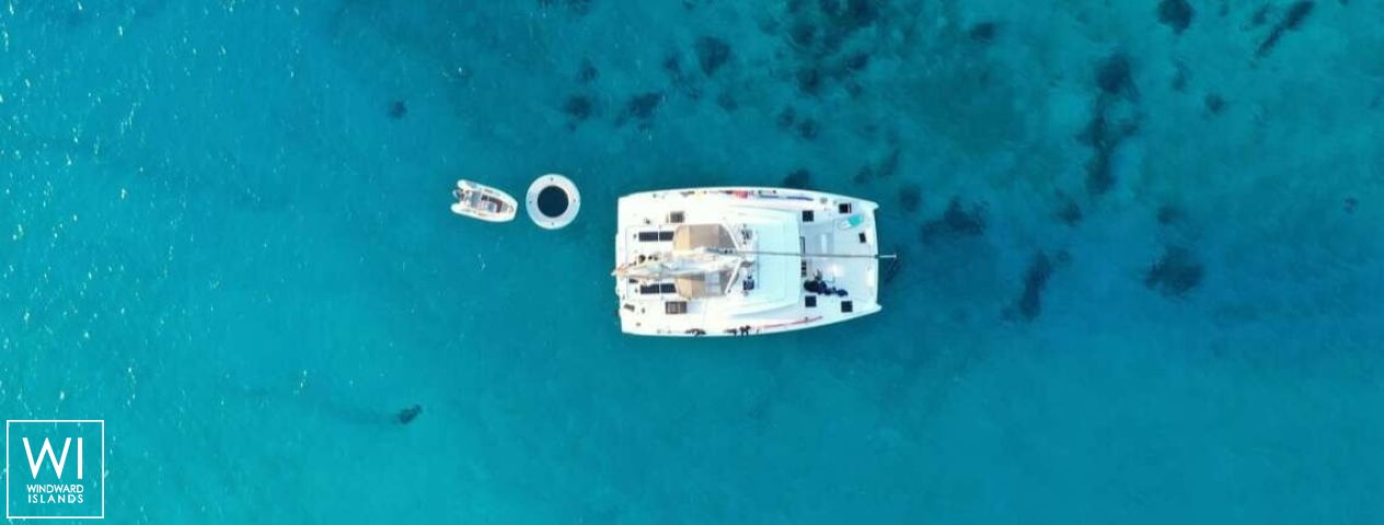 
																Belle Vie																 1