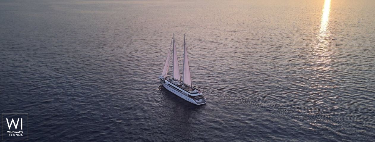 
																Anima Maris																 5