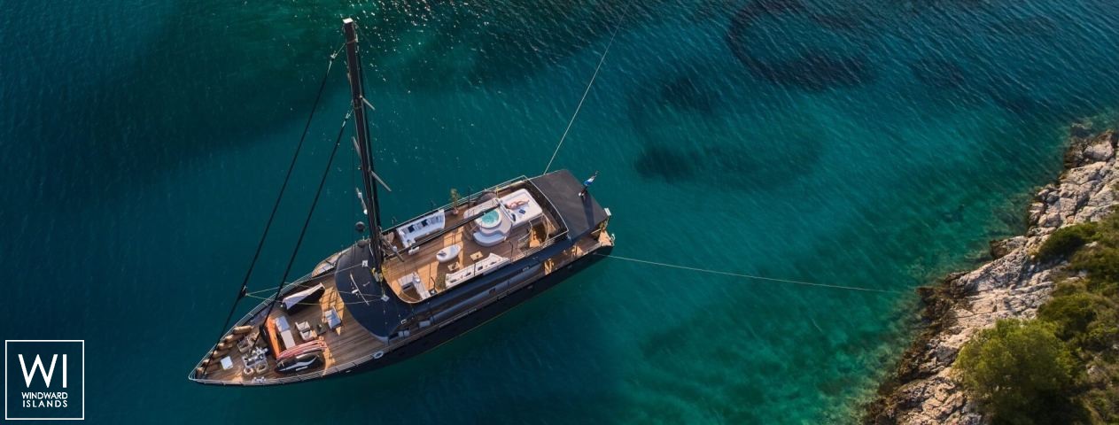 
																Rara Avis																 1