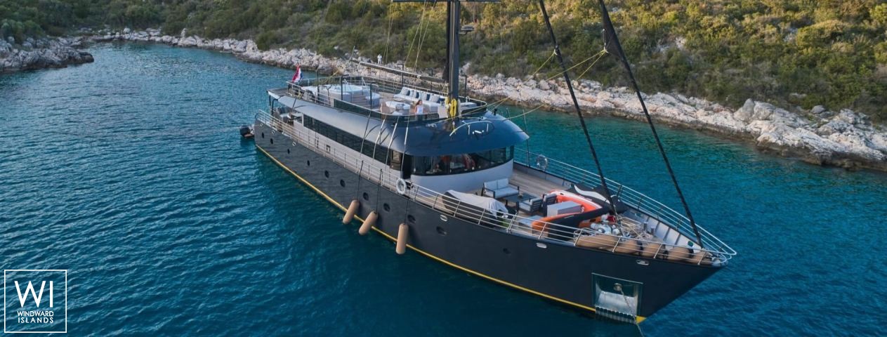 
																Rara Avis																 2