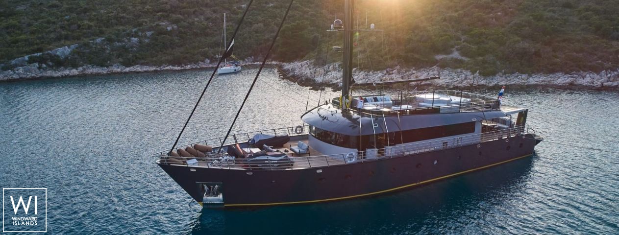 
																Rara Avis																 3