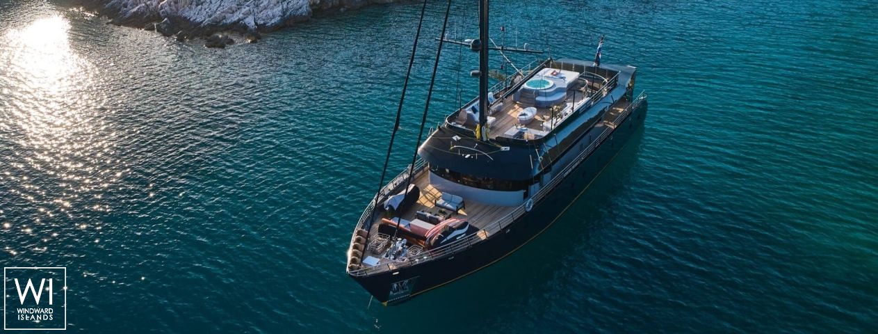 
																Rara Avis																 4