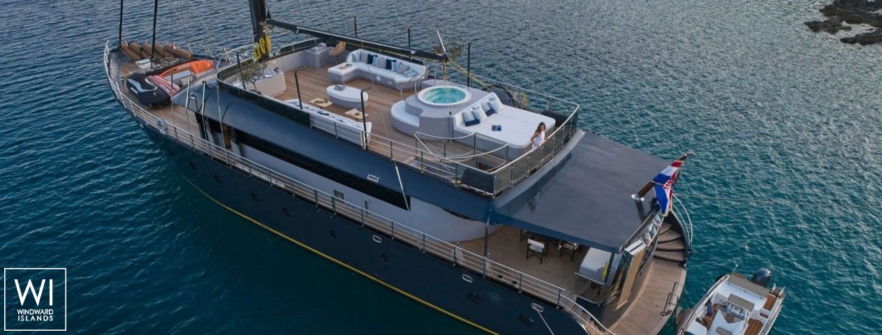 
																Rara Avis																 6