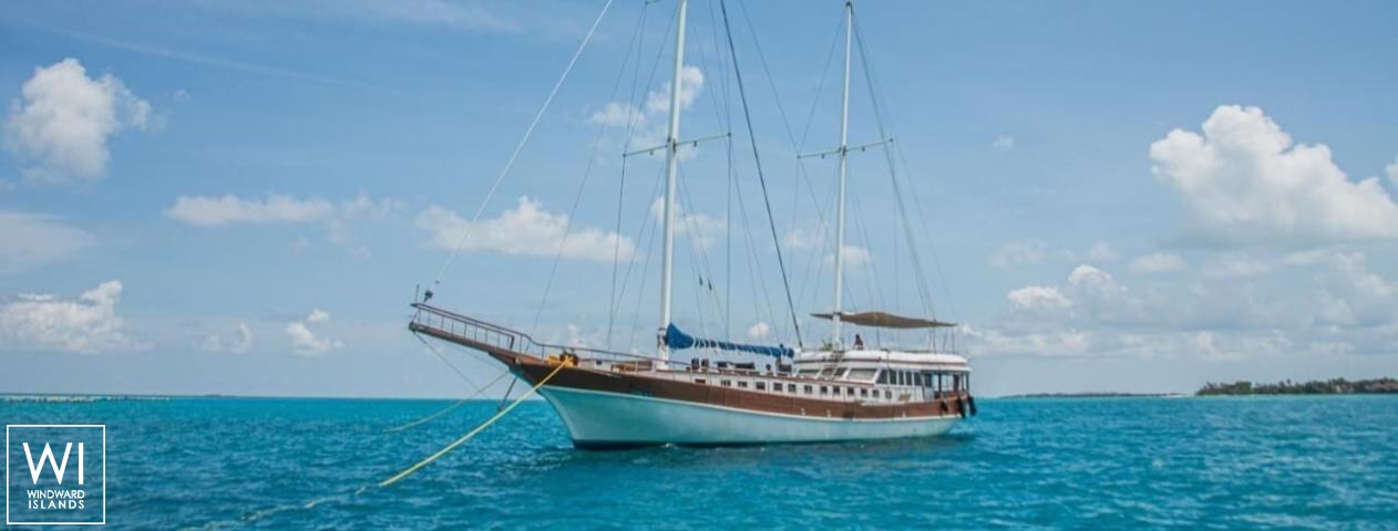 
																Akoya Pearl 																 1