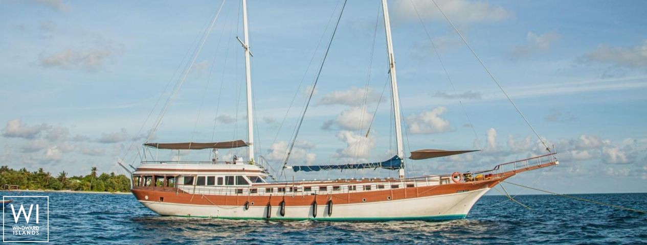 
																Akoya Pearl 																 2