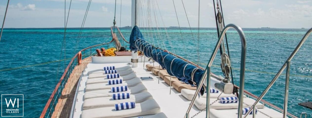 
																Akoya Pearl 																 3