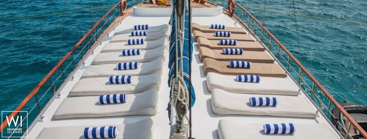 
																Akoya Pearl 																 5