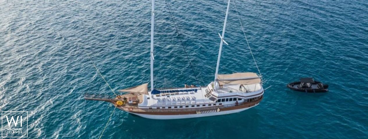 
																Akoya Pearl 																 6