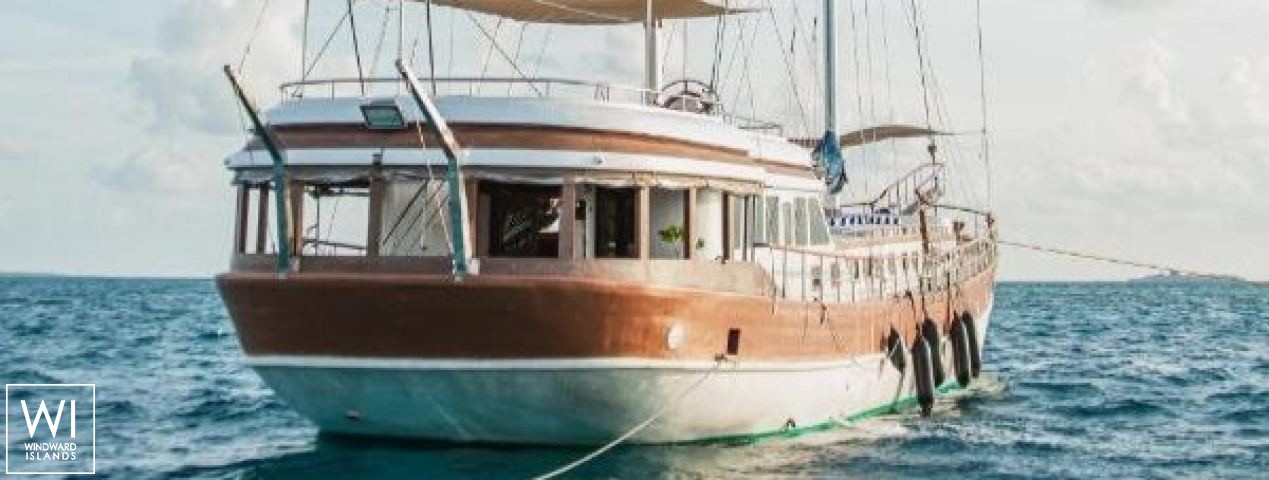 
																Akoya Pearl 																 4
