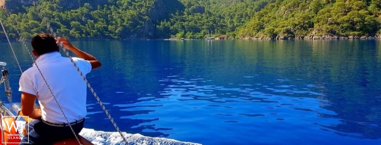 
																Perla Del Mar II																 5