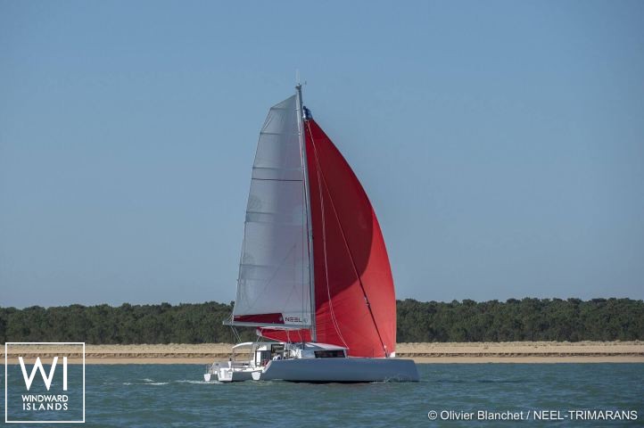 
																Neel 43																 1