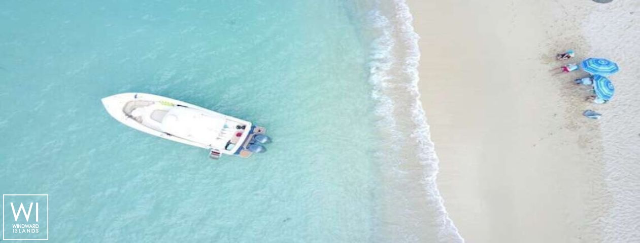 
																Midnight Moon																 4