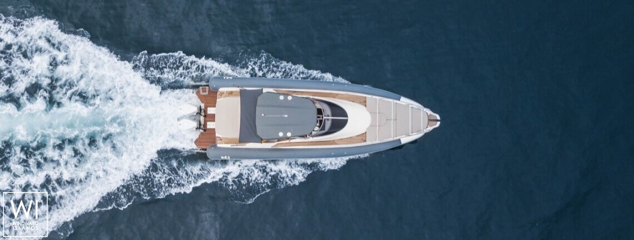 
																tiger lily																 1