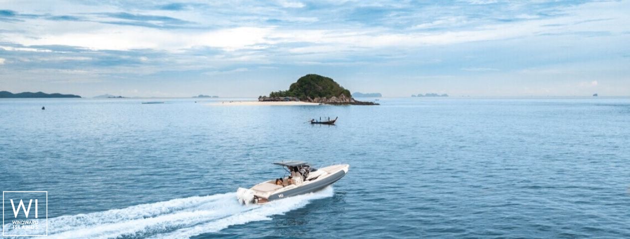 
																tiger lily																 5