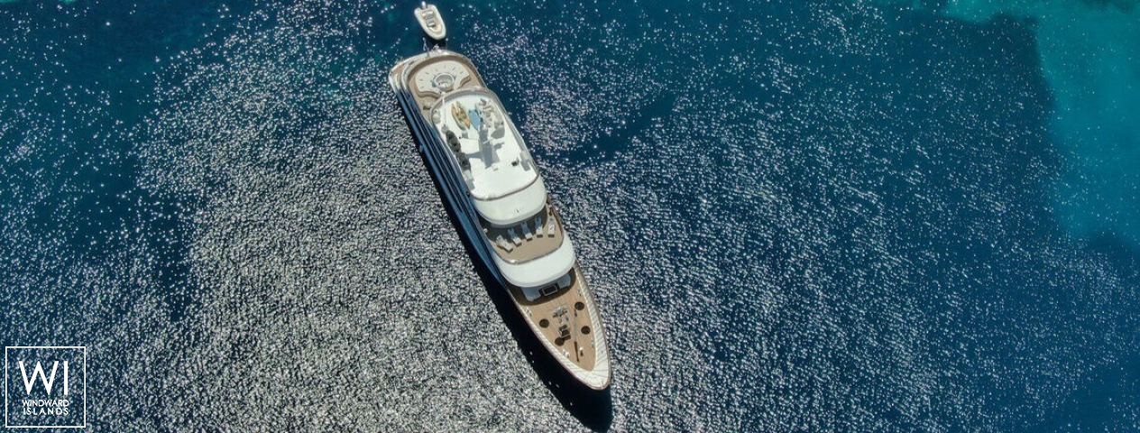 
																ANTHEA																 1