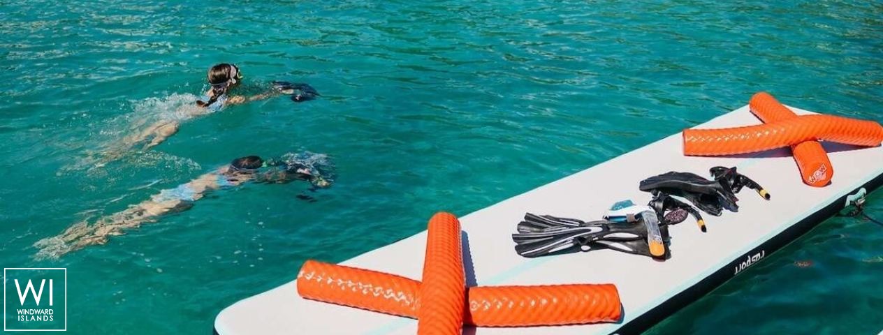 
																TEDAVI																 2