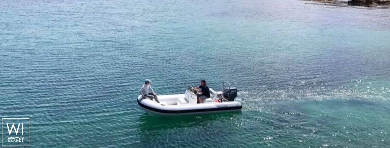 
																Templar																 6