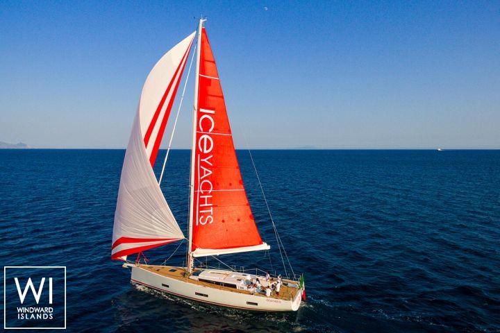 
																PURA FOLLIA																 1