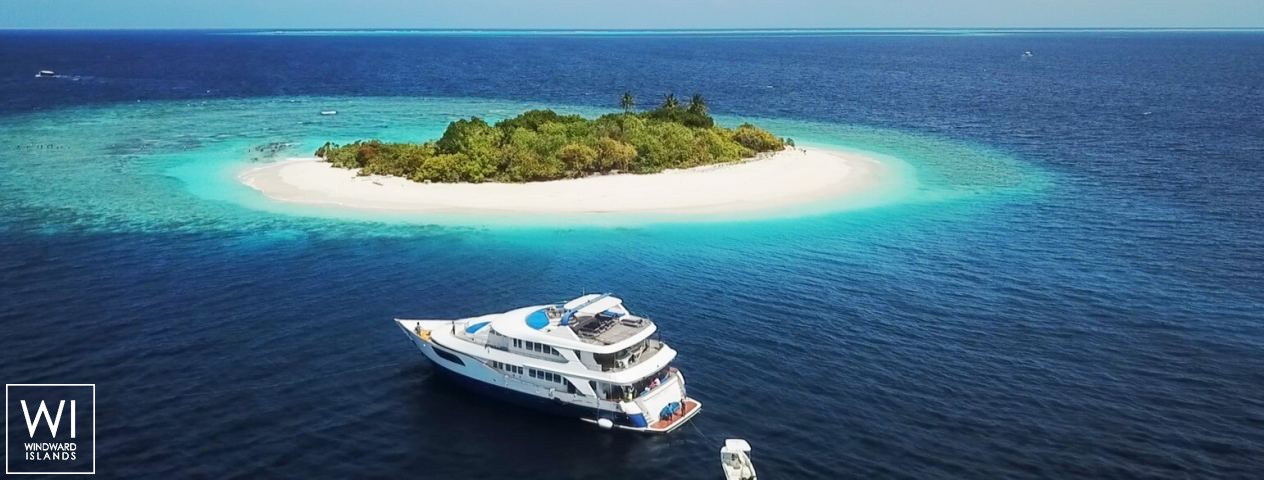 
																Honors Legacy																 3