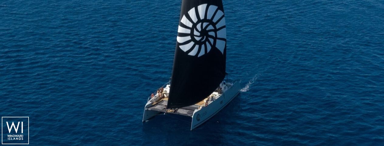 
																Oasis II																 2