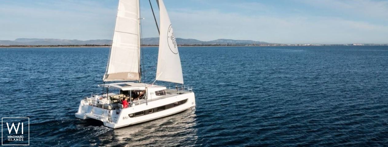 
																Bali Catsmart																 2