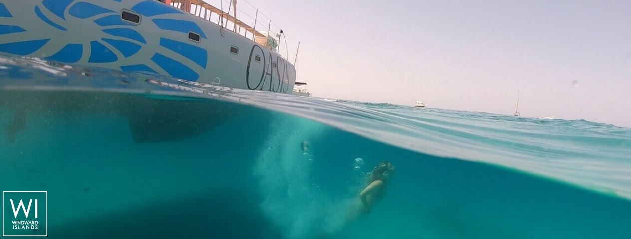 
																Oasis I																 2