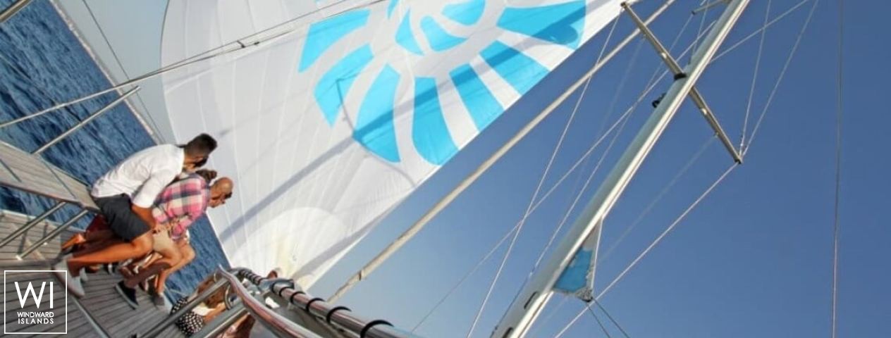 
																Oasis I																 5