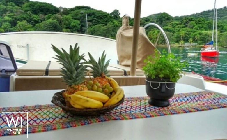 
																FARO 																 6