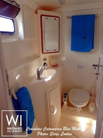 
																BLUE MAKI																 5