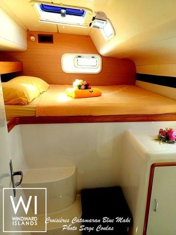 
																BLUE MAKI																 6