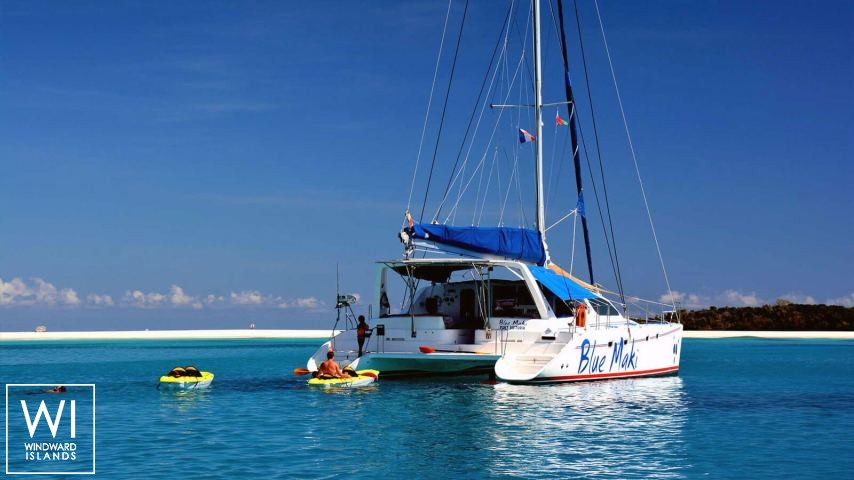 
																BLUE MAKI																 2