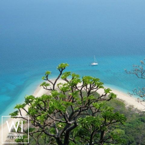 
																Sweetest Taboo																 3