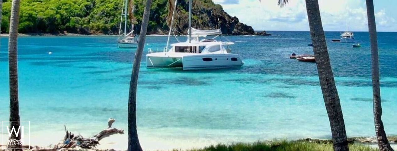 
																Groovy																 2