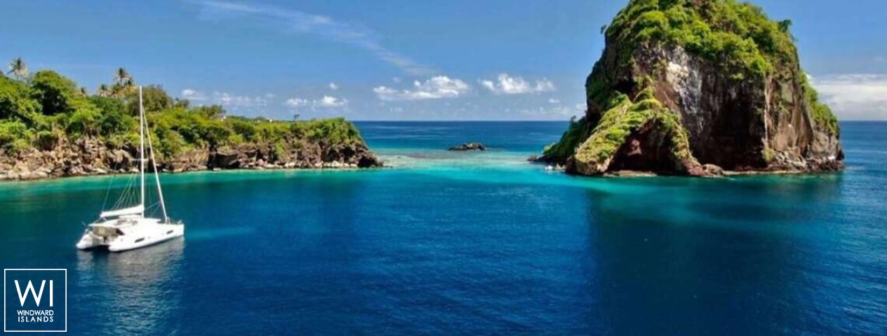 
																Groovy																 4